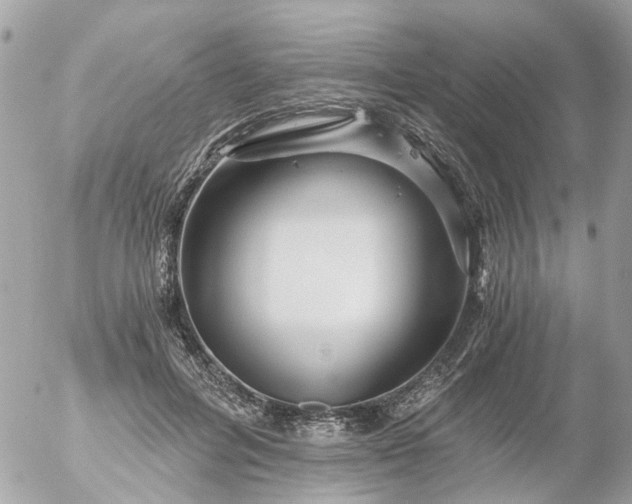 X0000056320600200509092304