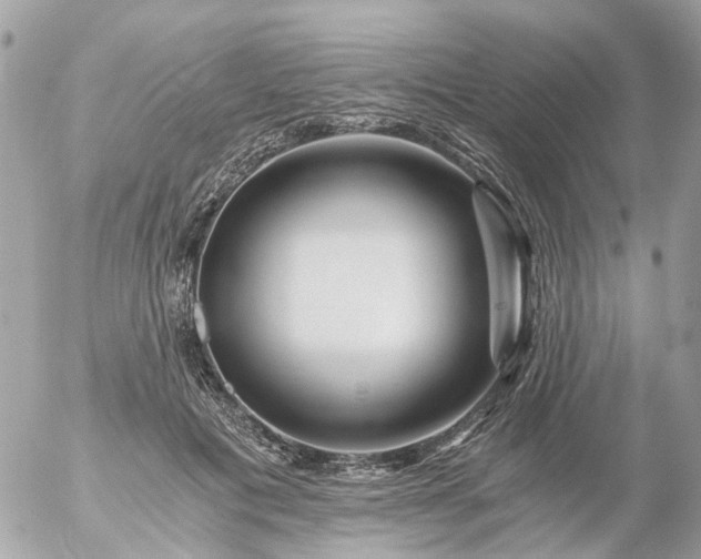 X0000056320601200509092304