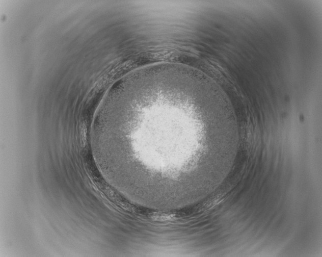 X0000056320602200509092304