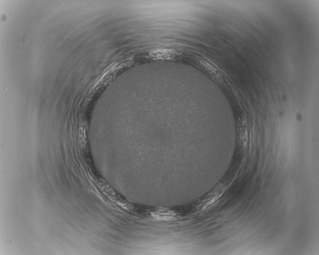 X0000056320603200509092304