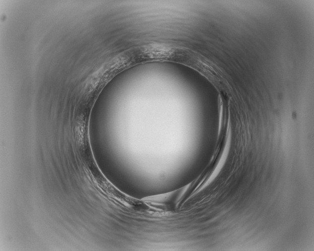 X0000056320604200509092304