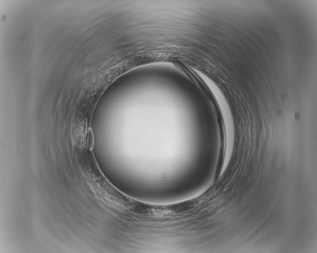 X0000056320605200509092304