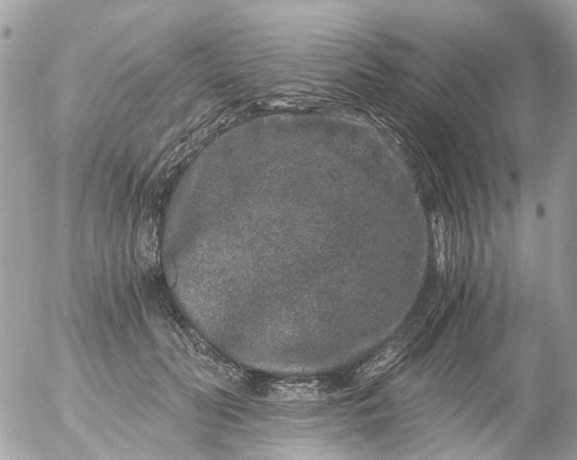 X0000056320606200509092304