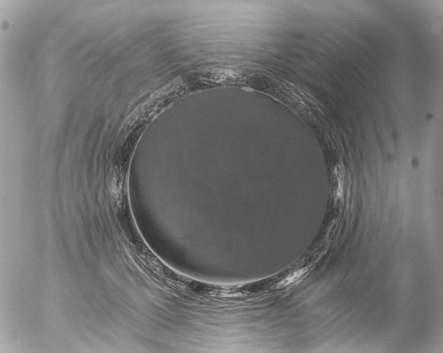 X0000056320607200509092304