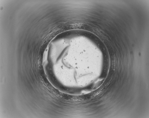 X0000056320608200509092304