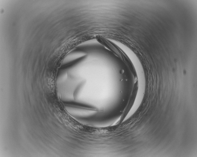 X0000056320609200509092304