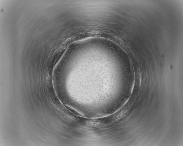 X0000056320614200509092304