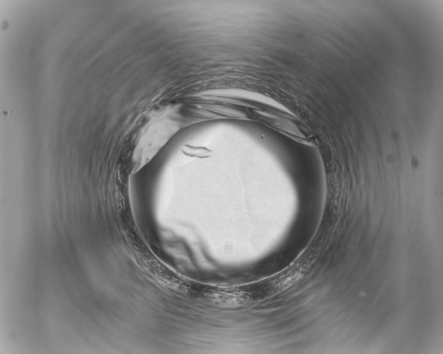 X0000056320615200509092304