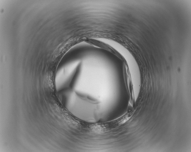 X0000056320616200509092304