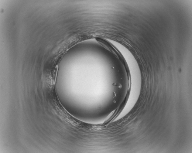 X0000056320617200509092304