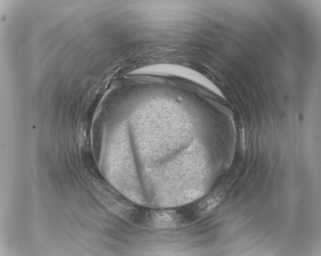 X0000056320618200509092304