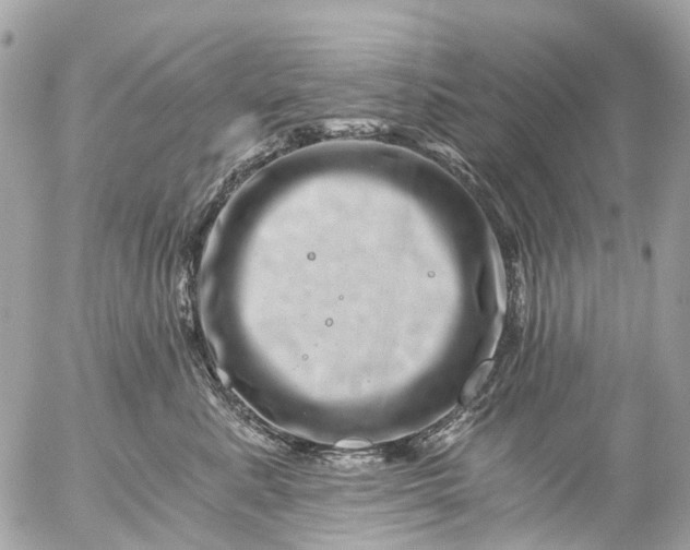 X0000056320619200509092304