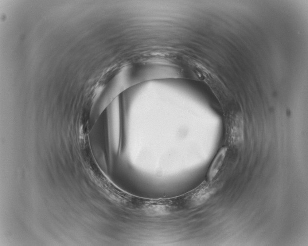 X0000056320620200509092304