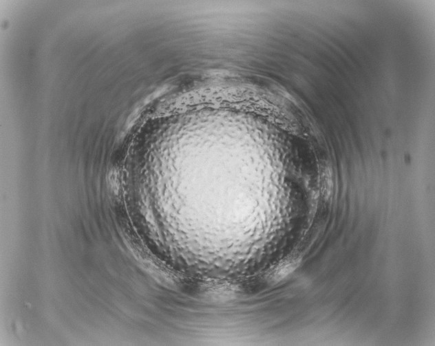 X0000056320621200509092304