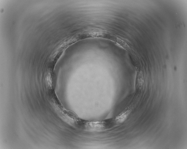 X0000056320622200509092304