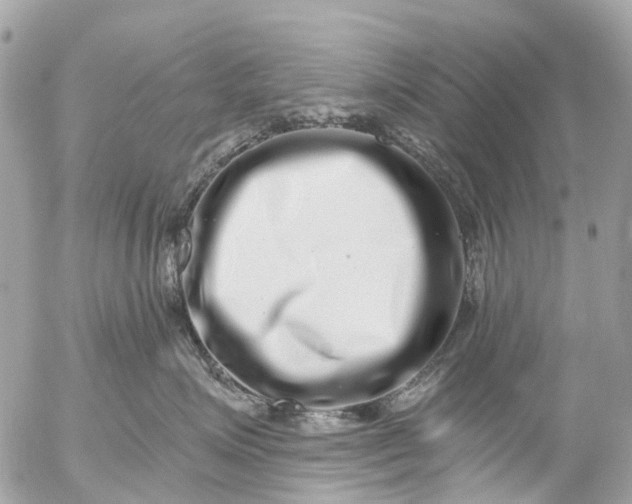 X0000056320623200509092304