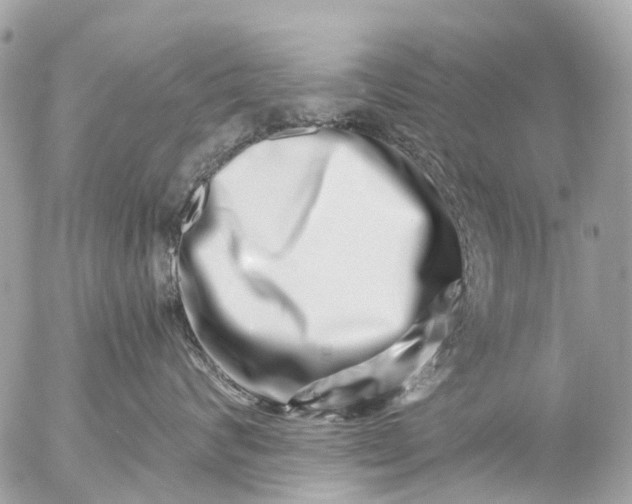 X0000056320624200509092304