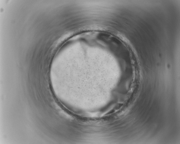 X0000056320625200509092303