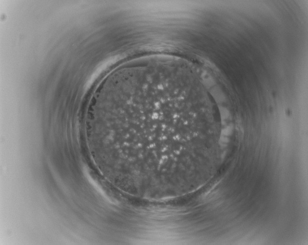 X0000056320626200509092303