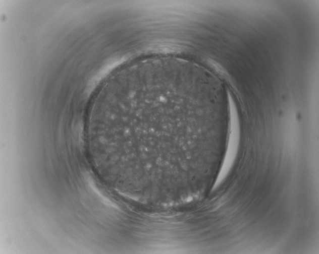 X0000056320627200509092303