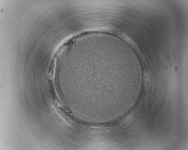 X0000056320628200509092303