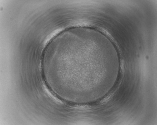 X0000056320629200509092303