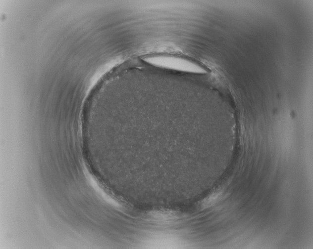 X0000056320630200509092303