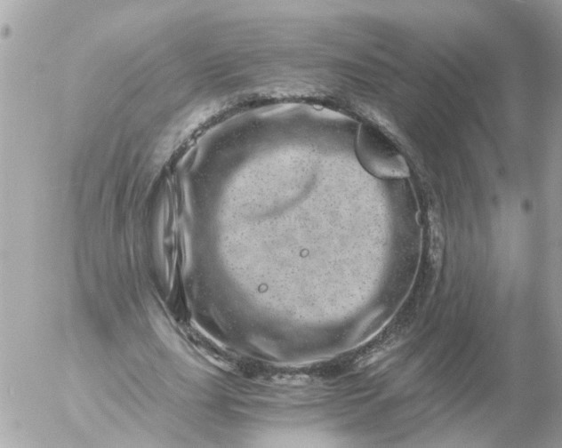 X0000056320631200509092303