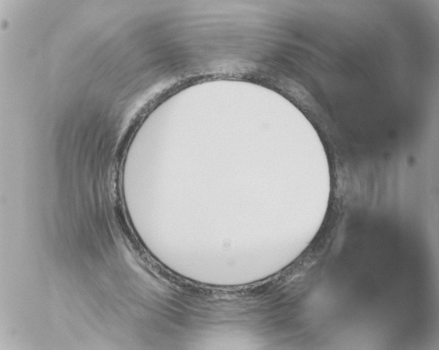 X0000056320632200509092303