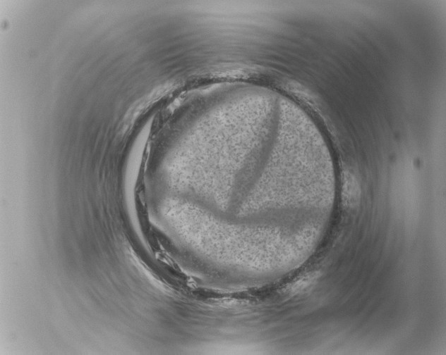 X0000056320633200509092303