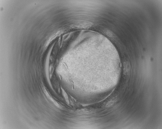 X0000056320634200509092303