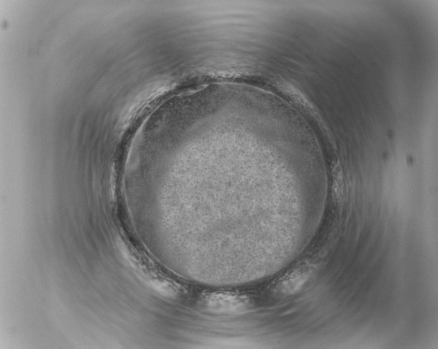 X0000056320635200509092303