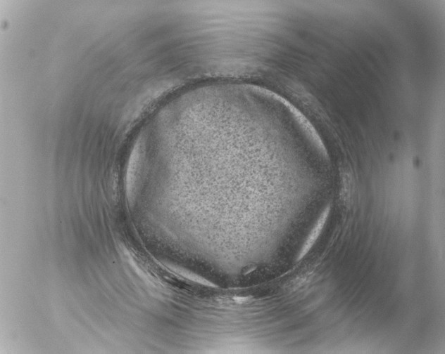 X0000056320636200509092303