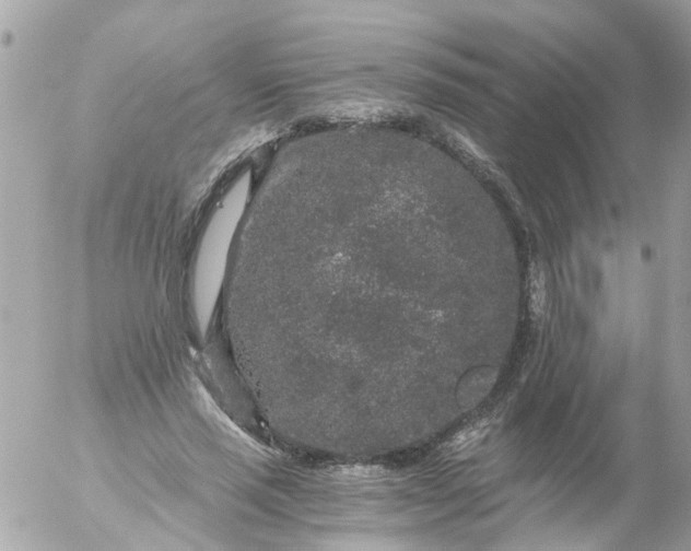 X0000056320637200509092303