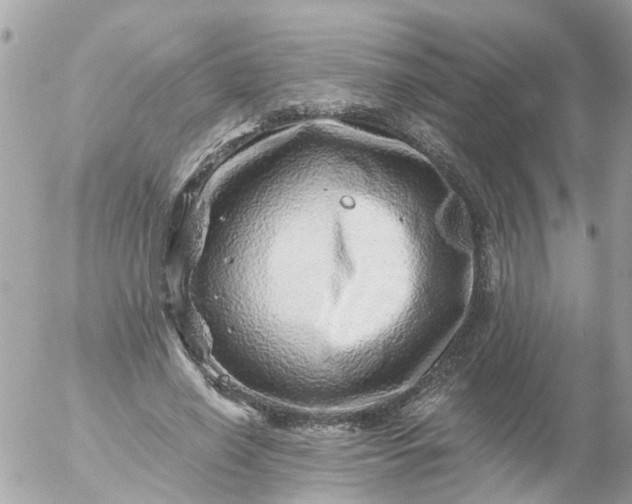 X0000056320638200509092303