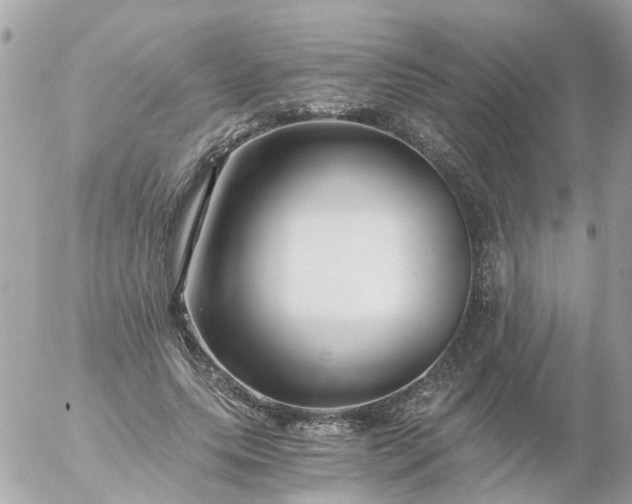 X0000056320639200509092303