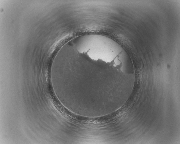 X0000056320640200509092303