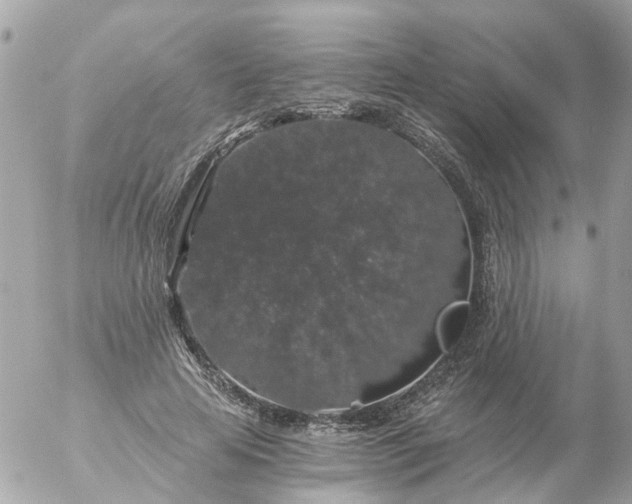 X0000056320641200509092303