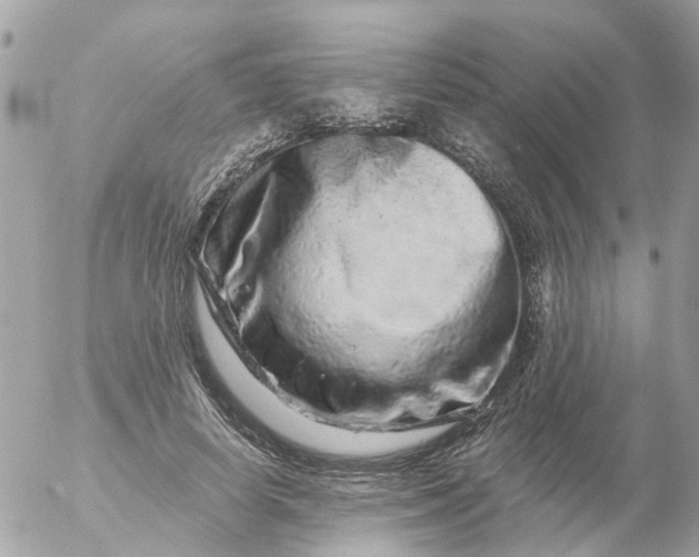 X0000056320642200509092303