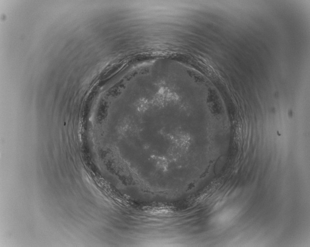 X0000056320643200509092303