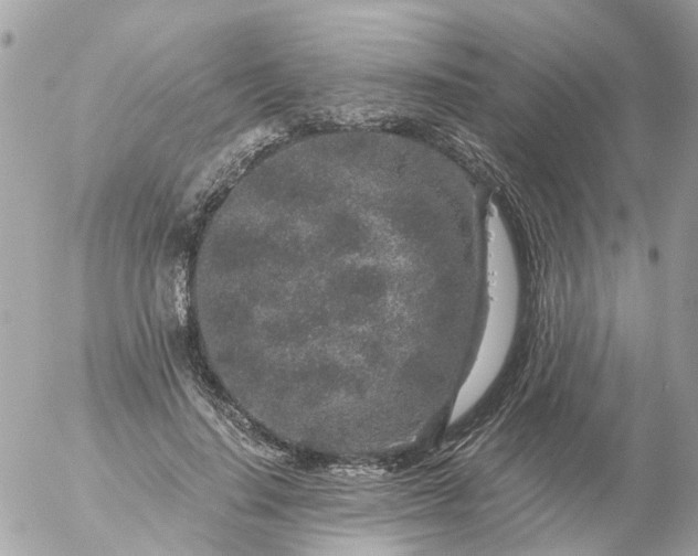 X0000056320644200509092303