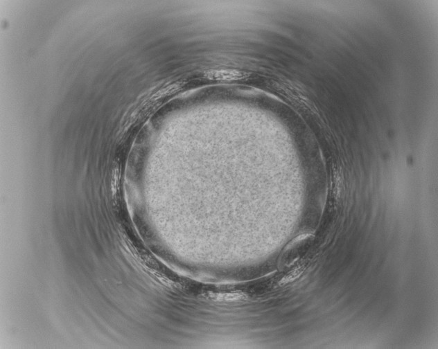 X0000056320645200509092303