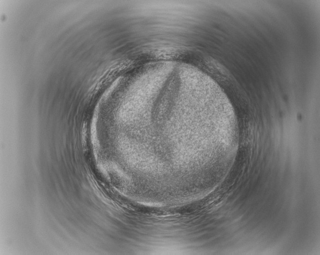 X0000056320646200509092304