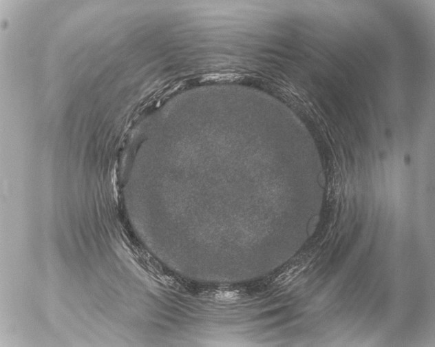 X0000056320647200509092304