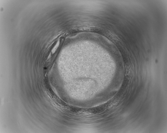 X0000056320648200509092304