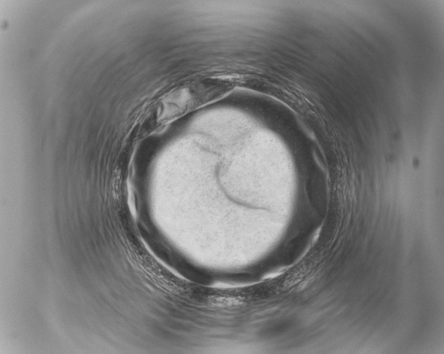 X0000056320649200509092304