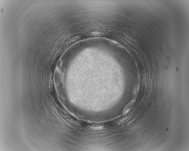 X0000056320651200509092304