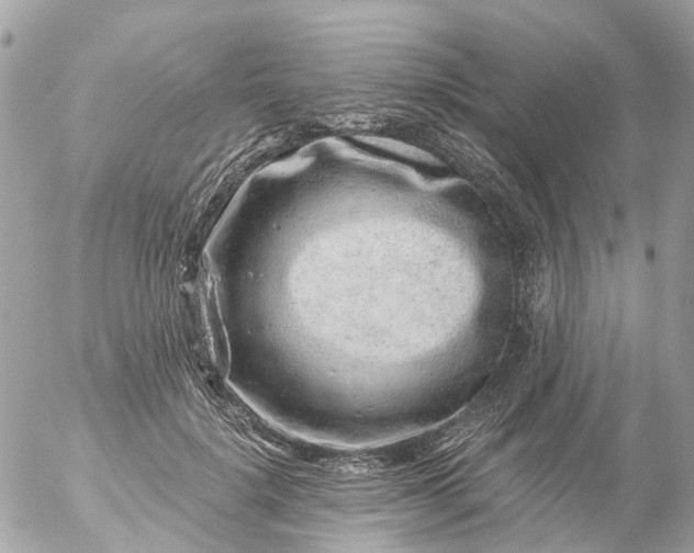 X0000056320652200509092304