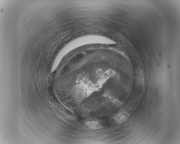 X0000056320653200509092304