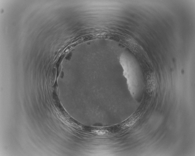 X0000056320654200509092304